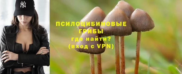 PSILOCYBIN Покачи