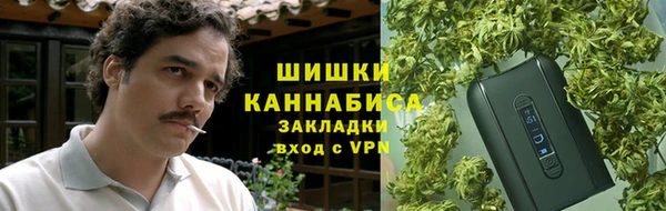 PSILOCYBIN Покачи