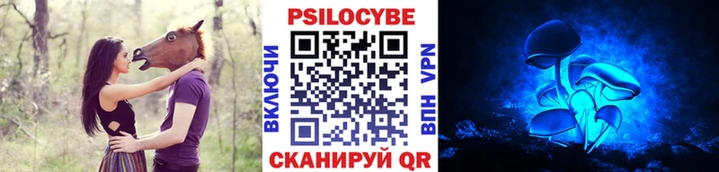 кракен маркетплейс  Каргополь  Псилоцибиновые грибы Psilocybe  продажа наркотиков 